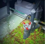 Κρεμαστό Εξωτερικό Φίλτρο Ενυδρείου 7W–500L/H