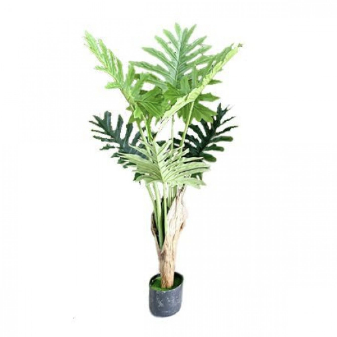 165cm Τεχνητό Διακοσμητικό Φυτό Φιλόδεντρο Σέλουμ σε Γλάστρα - 25978 165cm Τεχνητό Διακοσμητικό Φυτό Φιλόδεντρο Σέλουμ σε Γλάστρα - 25978