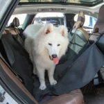 Προστατευτικό Κάλυμμα Αυτοκινήτου για Κατοικίδια 147x145cm – Μαύρο