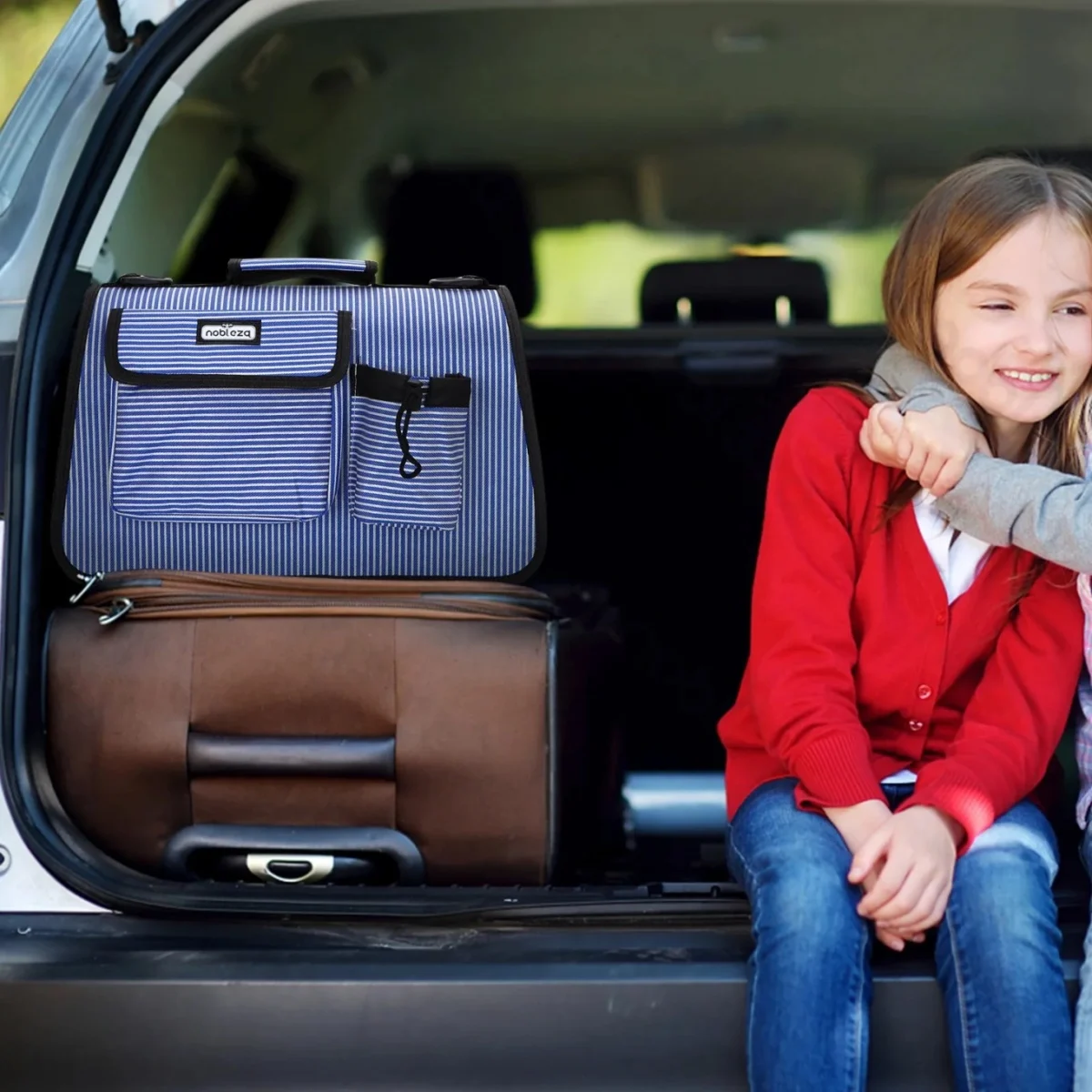 Ανθεκτική Τσάντα Μεταφοράς Κατοικίδιων με Αερισμό – 53.5x27x23cm Γαλάζιο