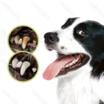 Σετ Οδοντόκρεμας 70gr & 2 Βουρτσάκια για Κατοικίδια