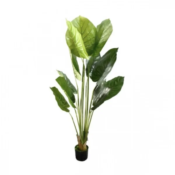 180cm Τεχνητό Διακοσμητικό Φυτό Αλοκάσια σε Γλάστρα