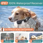 Ηλεκτρονικό Κολάρο Εκπαίδευσης Σκύλων με Τηλεχειριστήριο για 2 Σκύλους – Εμβέλεια 1000μ