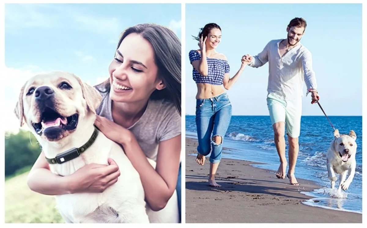 Ηλεκτρονικό Κολάρο Εκπαίδευσης Σκύλων με Τηλεχειριστήριο για 2 Σκύλους – Εμβέλεια 1000μ