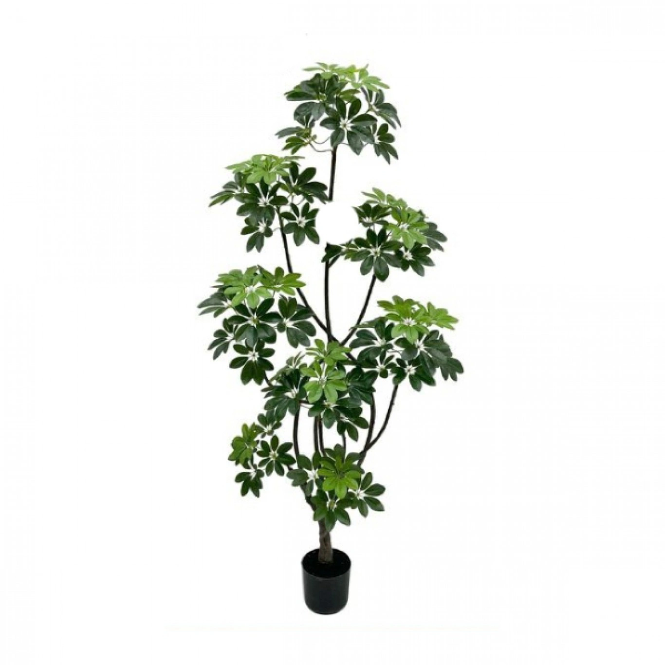 170cm Τεχνητό Διακοσμητικό Φυτό Σεφλέρα σε Γλάστρα 170cm Τεχνητό Διακοσμητικό Φυτό Σεφλέρα σε Γλάστρα