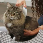 Ηλεκτρική Χτένα Κατοικίδιων για Εξολόθρευση Ψύλλων και Παρασίτων - Flea Doctor for Cats and Dogs