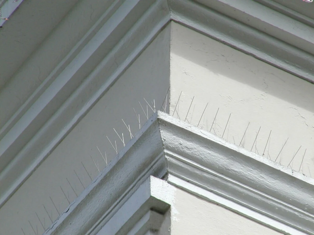 Απωθητικό Υπερήχων Τρωκτικών και Ζώων & Συναγερμός Εξωτερικού Χώρου με Αισθητήρα Κίνησης Ultrasonic Repeller