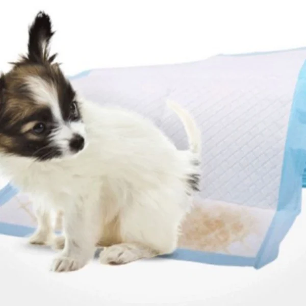 Επιδαπέδια Πάνα Κατοικιδίου 60x90cm 6τμχ