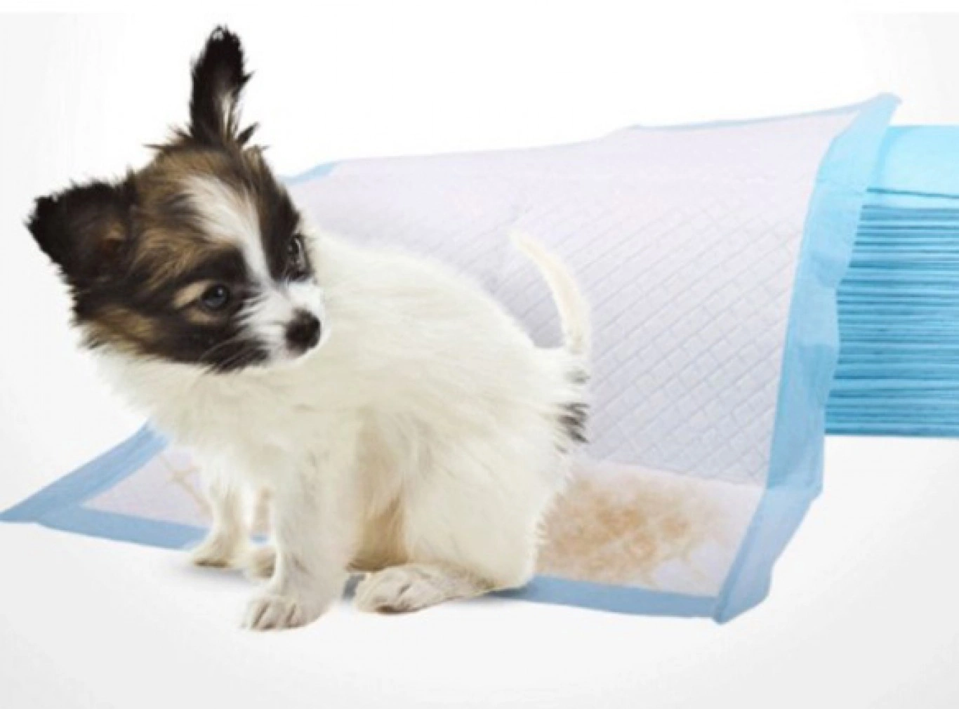 Επιδαπέδια Πάνα Κατοικιδίου 60x90cm 6τμχ Επιδαπέδια Πάνα Κατοικιδίου 60x90cm 6τμχ