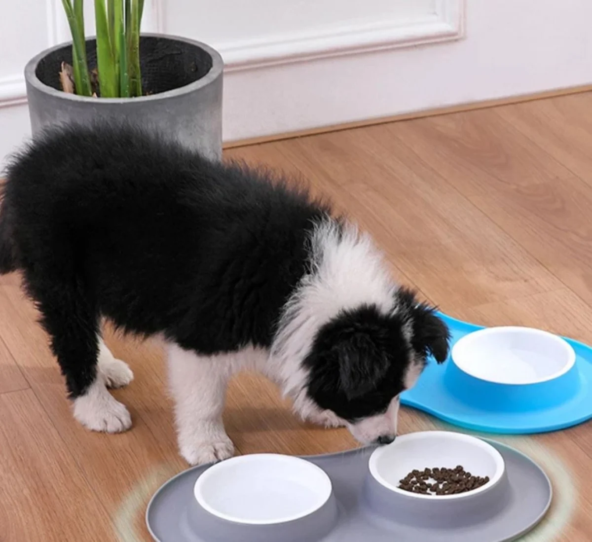 Πλαστικό ΜπολΤαίστρα Φαγητού & Νερού 2 Θέσεων με Αντιολισθητική Βάση για Σκύλους & Γάτες