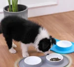 Πλαστικό ΜπολΤαίστρα Φαγητού & Νερού 2 Θέσεων με Αντιολισθητική Βάση για Σκύλους & Γάτες